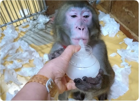 20250330_200552_copy_2598x1893