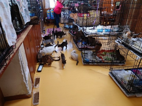 20230301_083819_copy_800x600