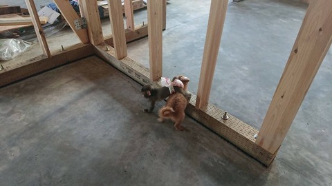 1572649948932-800x450