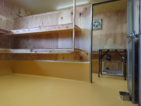 DSC_5854_copy_800x600