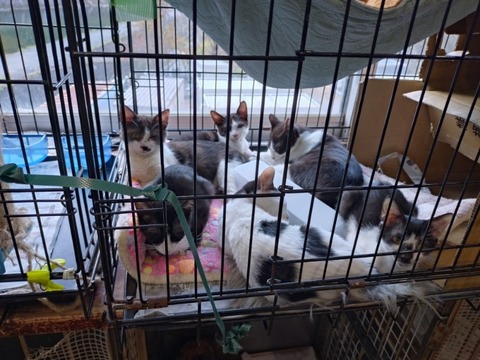 20251209_141839_copy_800x600