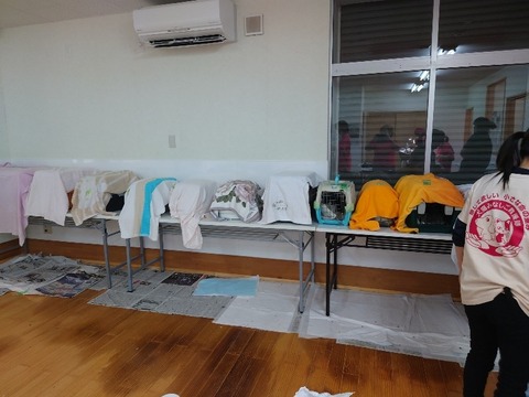 20231116_114919_copy_800x600