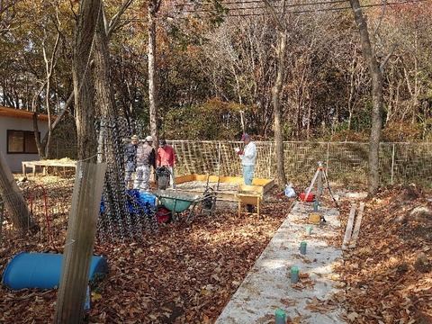 DSC_1339_copy_800x600