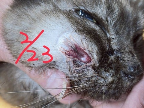 1772154505150_copy_800x599_copy_800x599