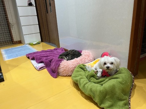 1765873018317_copy_709x531