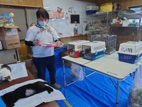 20220722_162633_copy_800x600