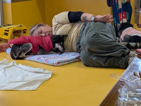 1761302206294_copy_640x482