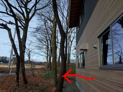 20251225_095457~2_copy_800x600