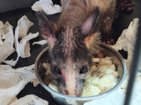 20260212_100613_copy_800x600