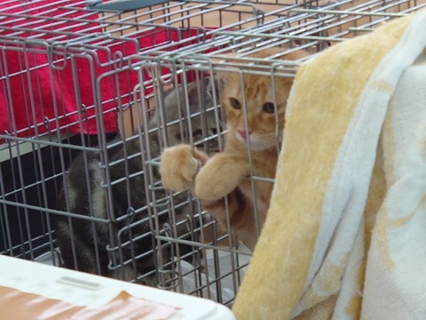 DSC_1669_copy_800x600