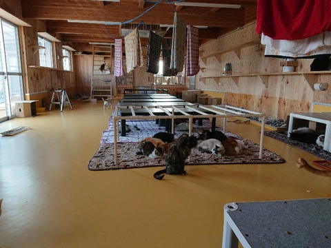 DSC_5809_copy_800x600