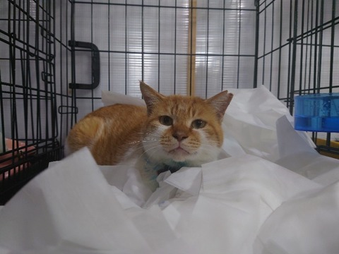 20240125_194846_copy_800x600