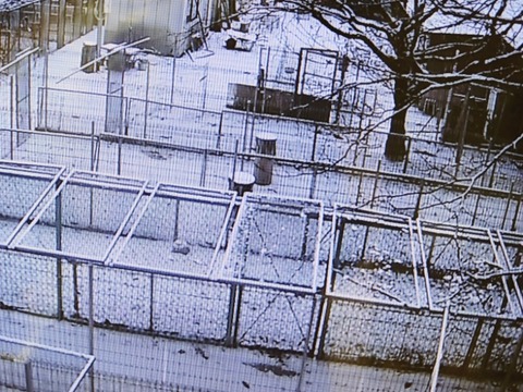 20260208_075525~2_copy_800x600