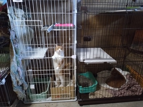 20251216_150230_copy_800x600