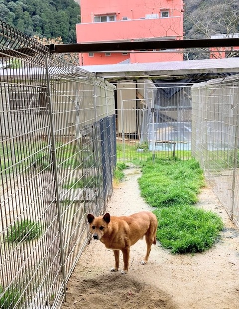 1772172049288~2_copy_600x775