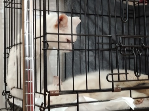 20260219_103223_copy_800x600