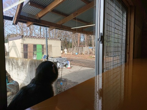 DSC_5870_copy_800x600