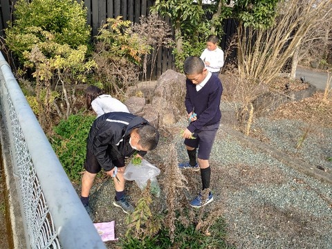 DSC_3390_copy_800x600