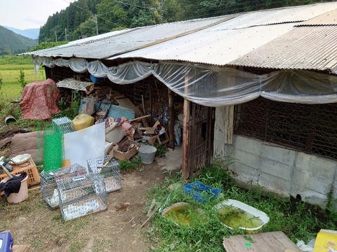 20220723_170142_copy_800x600