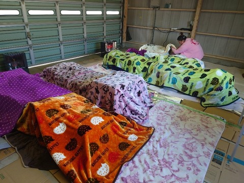 20231115_110725_copy_800x600