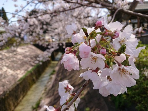 DSC_6316_copy_800x600