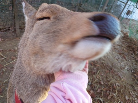 20231226_072244_copy_800x600