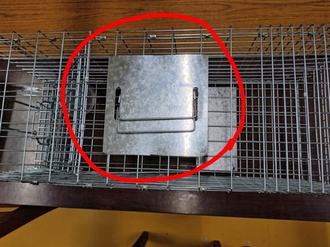 20251228_135703_copy_800x600~2