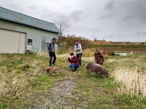 DSC_1848_copy_800x600