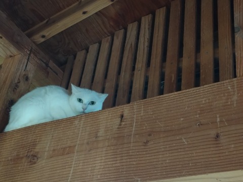 20251011_121927_copy_816x612