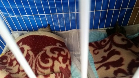 1574285624787-800x450