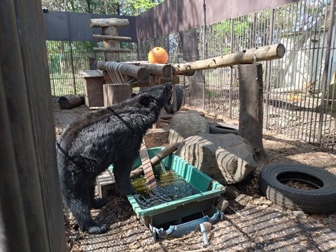 20250421_140650_copy_800x600