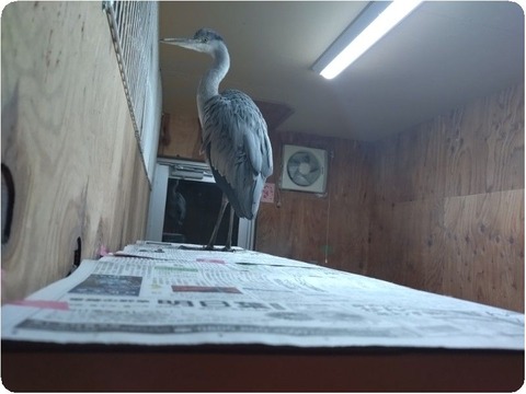 20241229_215726_copy_800x600