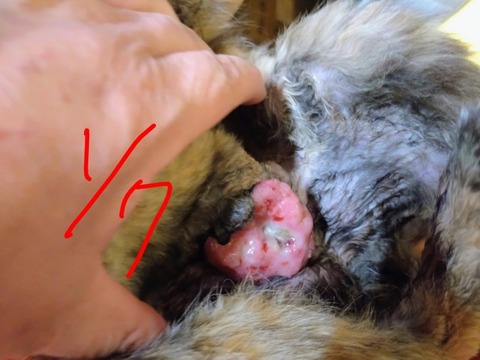 20260107_181028~3_copy_800x600