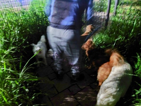 20230420_191045~2_copy_800x600