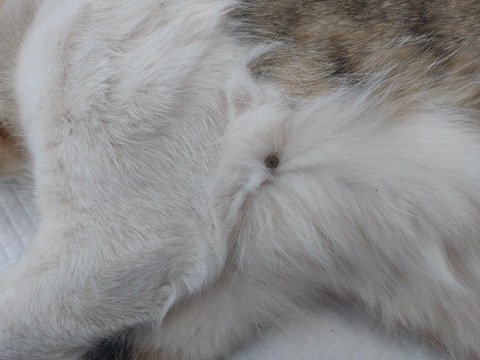 20240521_083559_copy_800x600