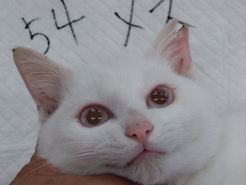 20251216_114021_copy_816x612