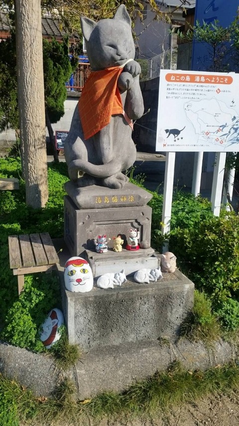 1544932421981-600x1066