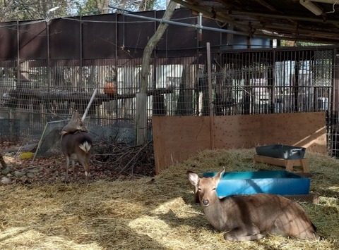 20251223_114731_copy_831x614