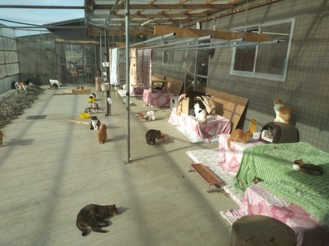 20260306_084618_copy_800x600