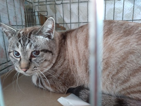 20260109_145211_copy_800x600