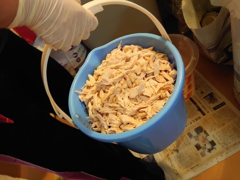 DSC_2692_copy_800x600