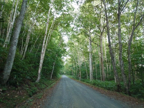 DSC_0310_copy_800x600