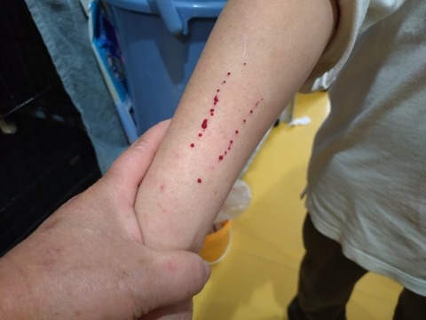 20260126_114825_copy_800x600