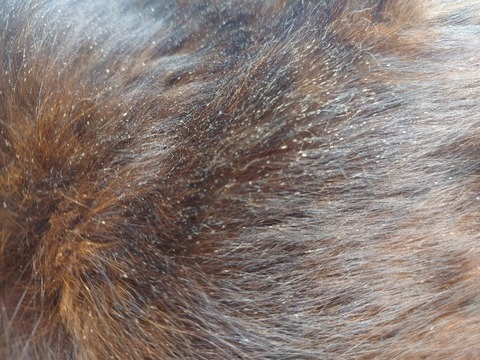 20230405_082541_copy_800x600