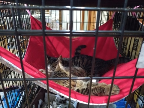 20251125_133139_copy_800x600