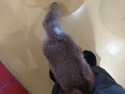 20260223_134238_copy_600x800