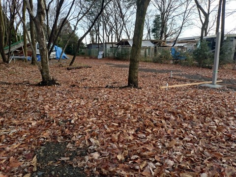 20251225_095817_copy_800x600