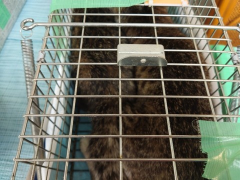 20230618_093122_copy_800x600