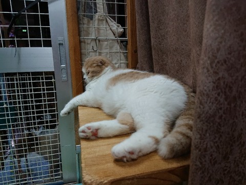 DSC_7075_copy_800x600