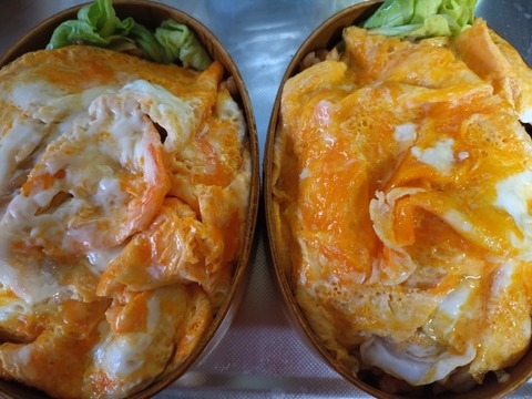 20260214_071928_copy_800x600